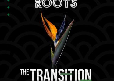 Afrikan Roots - Transitions