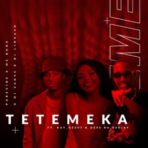 Purevibe, Dj Lindash & Ms Bune - Tetemeka (feat. Dj VansS, Kay_Gee07 & Dess Da Deejay)