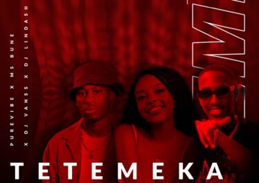 Purevibe, Dj Lindash & Ms Bune - Tetemeka (feat. Dj VansS, Kay_Gee07 & Dess Da Deejay)