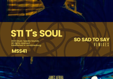 STI T's Soul - So Sad to Say (Remixes)