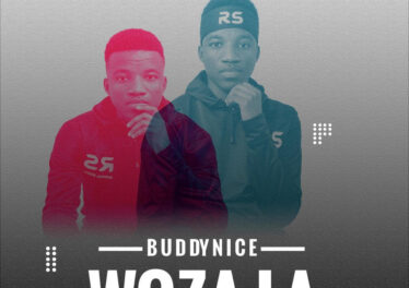 Buddynice - Woza La (Redemial Mix)
