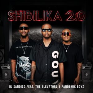 DJ Sandiso - shibilika 2.0 (feat. Pandemic boyz & The Elevatorz)
