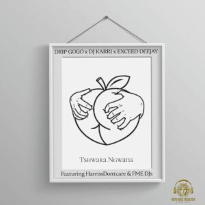 Drip Gogo, DJ Karri & Exceed DeeJay - Tshwara Ngwana (feat. HarrisDontcare & FME DJs)