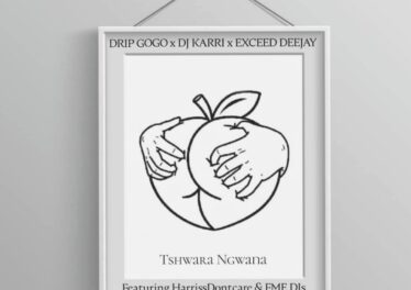 Drip Gogo, DJ Karri & Exceed DeeJay - Tshwara Ngwana (feat. HarrisDontcare & FME DJs)