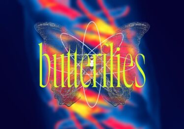 Mr Khendlac SA & Phoenix Sounds - Butterflies