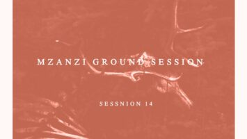 VA - Mzanzi Ground Session 14