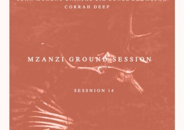 VA - Mzanzi Ground Session 14