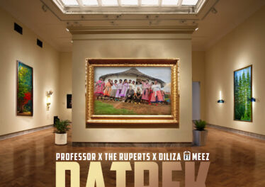 Professor, The Ruperts & Diliza - Patrek (Azvibhadari) (feat. Meez)
