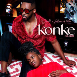 Donald & Starr Healer - Konke (feat. Lesax)
