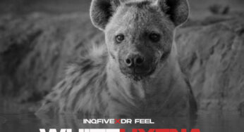 InQfive & Dr Feel – White Hyena (Remixes)