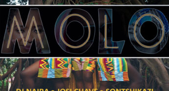 DJ Naira & Josi Chave – MOLO (feat. Sontshikazi)