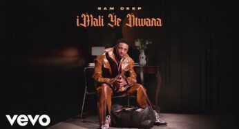 Sam Deep, DaliWonga – BraMfana (Visualizer)