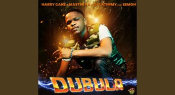 Dubula (feat. DJ Latimmy) (Remake)