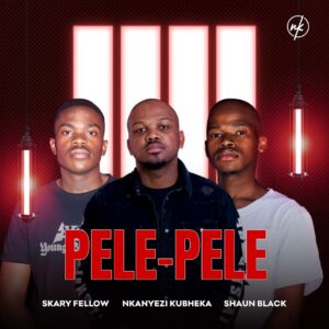 Skary Fellow, Nkanyezi Kubheka & Shaun Black - PELE PELE
