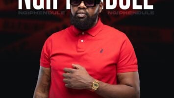Vic_Typhoon & Murumba Pitch - Ngiphendule (feat. Cooper SA & BLACKSNOW)