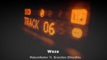 MalumNator - Woza (feat. Brandon Dhludhlu)