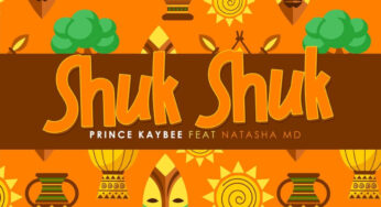 Prince Kaybee – Shuk Shuk (feat. Natasha MD)