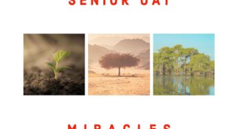 Senior Oat – Your Child (feat. Kemy Chienda)