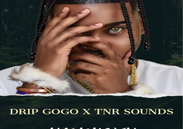 Drip Gogo & TNR Sounds - uMkhovu