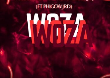 Mcdeez Fboy & DrummeRTee924 - WOZA WOZA (feat. Phigow Jrd)