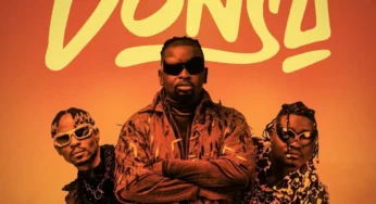 Yaba Buluku Boyz – Donsa (Album)