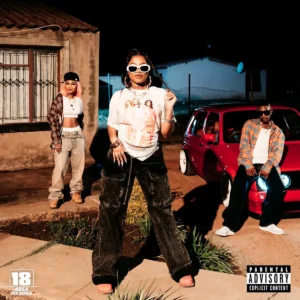 DJ Tshegu, LeeMcKrazy & Zee Nxumalo - Chengu Shesha (feat. Al xapo, Vyno Keys & QuayR Musiq)