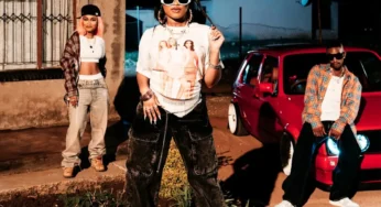 DJ Tshegu, LeeMcKrazy & Zee Nxumalo – Chengu Shesha (feat. Al Xapo, Vyno Keys & QuayR Musiq)