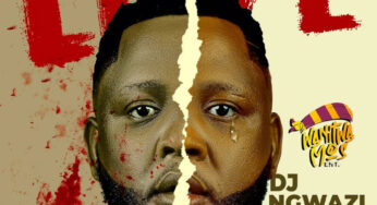 DJ Ngwazi – Fake Love (feat. Dr Tawanda & Nelcy-B)