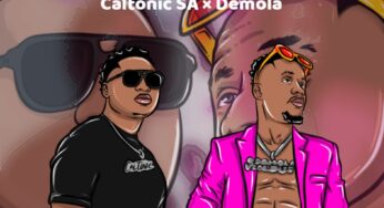 Caltonic SA & Demola – Tail Piece