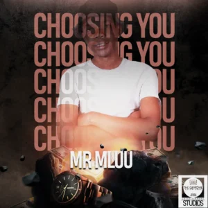 Mr Mluu - Choosing You EP