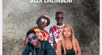 Shisaboy – Beer emzimbeni (feat. Mapara A Jazz & Nitah)