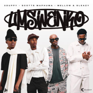 Xduppy, Scotts Maphuma & Mellow & Sleazy - Kwaze kwa mnandi (feat. DJ Maphorisa, CowBoii & Al Xapo)