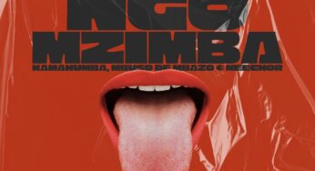 Kamahumba, Mbuso De Mbazo & Neechor – Dlala Ngo Mzimba