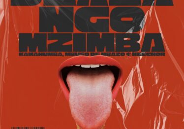 Kamahumba, Mbuso De Mbazo & Neechor - Dlala Ngo Mzimba
