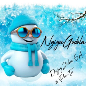 Deejay Zebra SA & Pro-Tee - Ngiya Godola