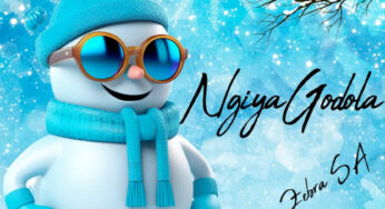 Deejay Zebra SA & Pro-Tee – Ngiya Godola