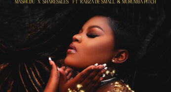 Mashudu & Shakes & Les – Ngempela (feat. Kabza De Small & Murumba Pitch)