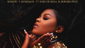 Mashudu & Shakes & Les - Ngempela (feat. Kabza De Small & Murumba Pitch)