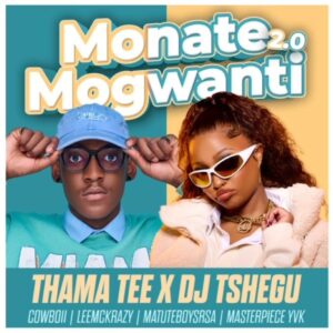 Thama Tee & DJ Tshegu - Monate mogwanti 2.0 (feat. CowBoii, LeeMcKrazy, Matuteboyrsa & Masterpiece YVK)