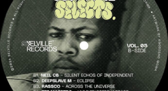 Selville Selects Vol. 05 [B-Side] (Compiled By Wade Watts)