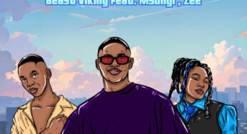 Beast Viking – Ngelinye (feat. Msongi & Ze2)