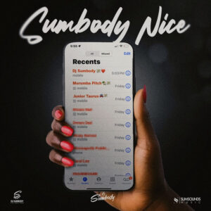DJ Sumbody - Sumbody Nice (feat. Murumba Pitch & Junior Taurus)