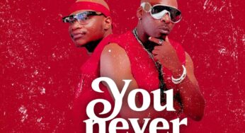 Master KG & Jon Delinger – You Never Told Me (feat. Miss Twaggy)