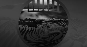VA – Sanelow Grooves, Vol. 6