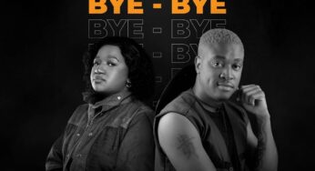 Nicholen & De Mogul SA – Bye Bye