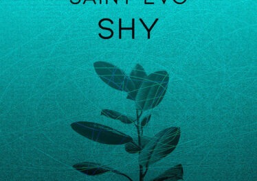 Saint Evo - Shy (Original Mix)