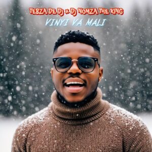 Tebza De DJ - Vinyi Va Mali (feat. DJ Nomza The King)