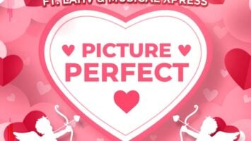 Lady Du & T-Man SA - Picture Perfect (feat. LAHV & Musical Xpress)
