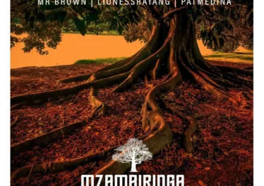 Mr Brown - Mzambiringa (feat. LionessRatang, Pat Medina & Ashley Shane)