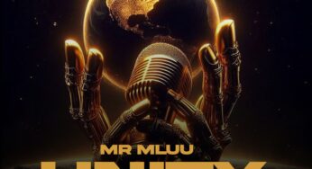 Mr Mluu – Unity EP